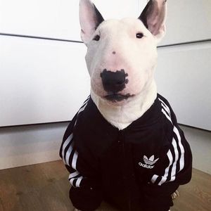 Meet your Posher, Tobb